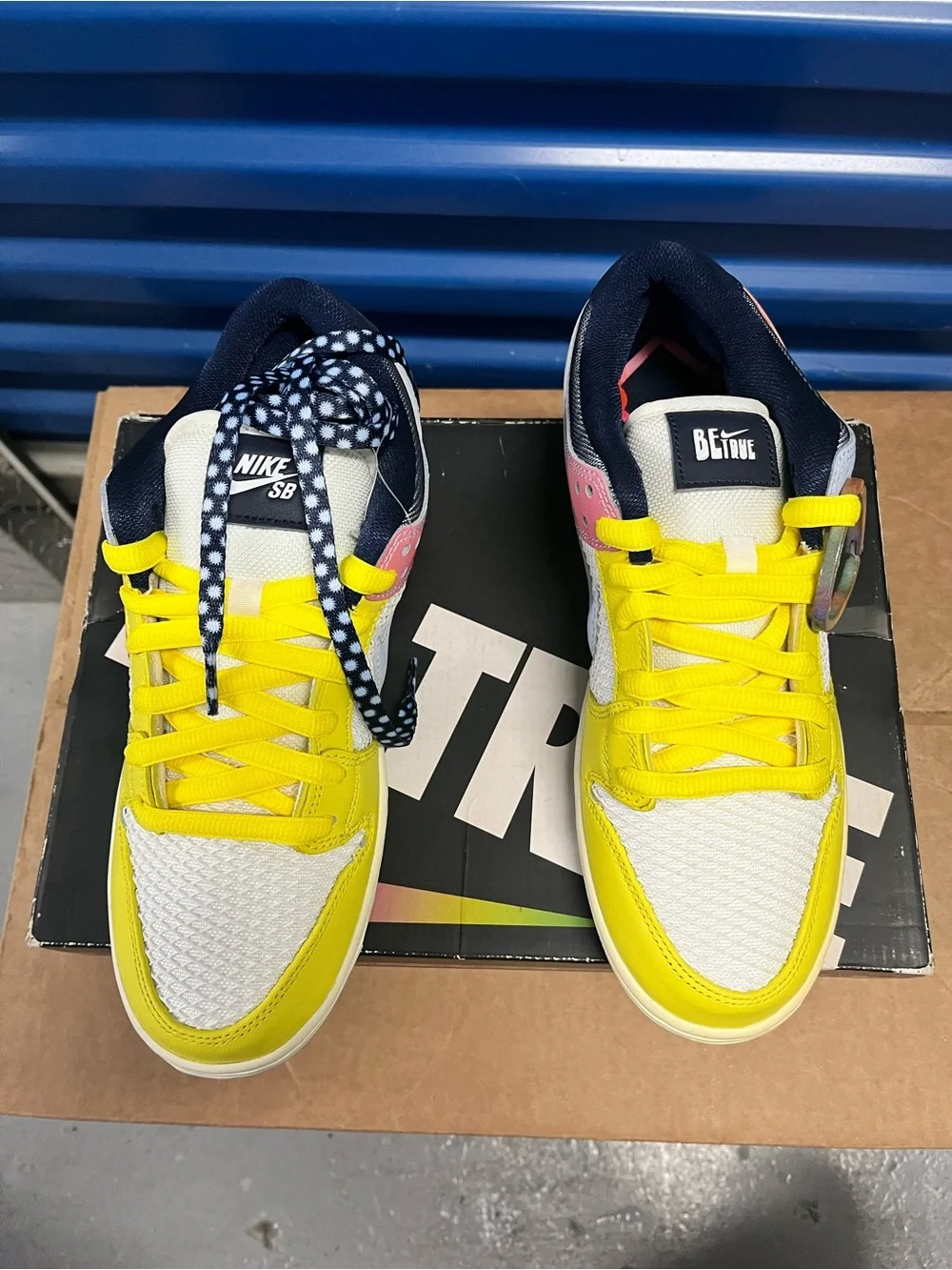 Nike SB Dunk Low Pro Be True Xavier Schipani DX5933-900 Size 8.5 Men Size 10 Wom